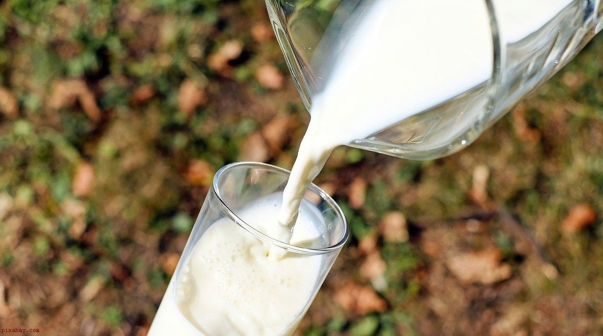 mleko eksportowane do chin - grafika wpisu